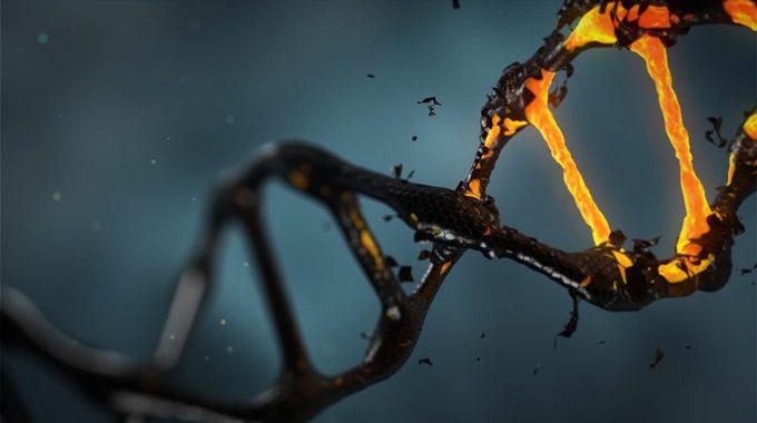 Malattie Genetiche: Novità Sull’editing Del DNA